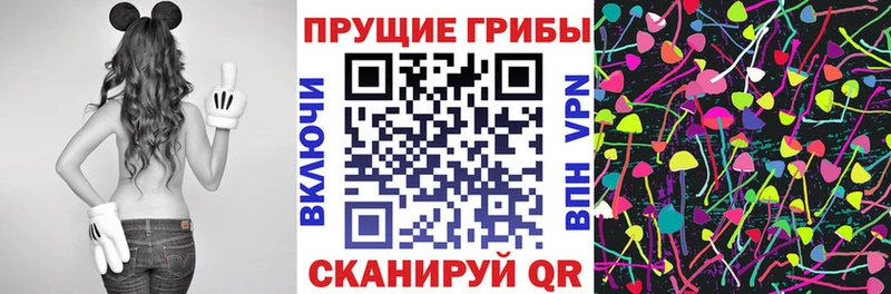 Псилоцибиновые грибы Magic Shrooms  ОМГ ОМГ как зайти  Сысерть 